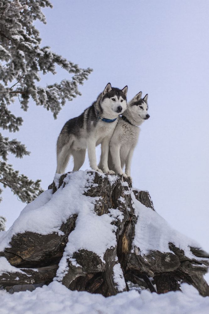 Photograph by Артур Хасанов