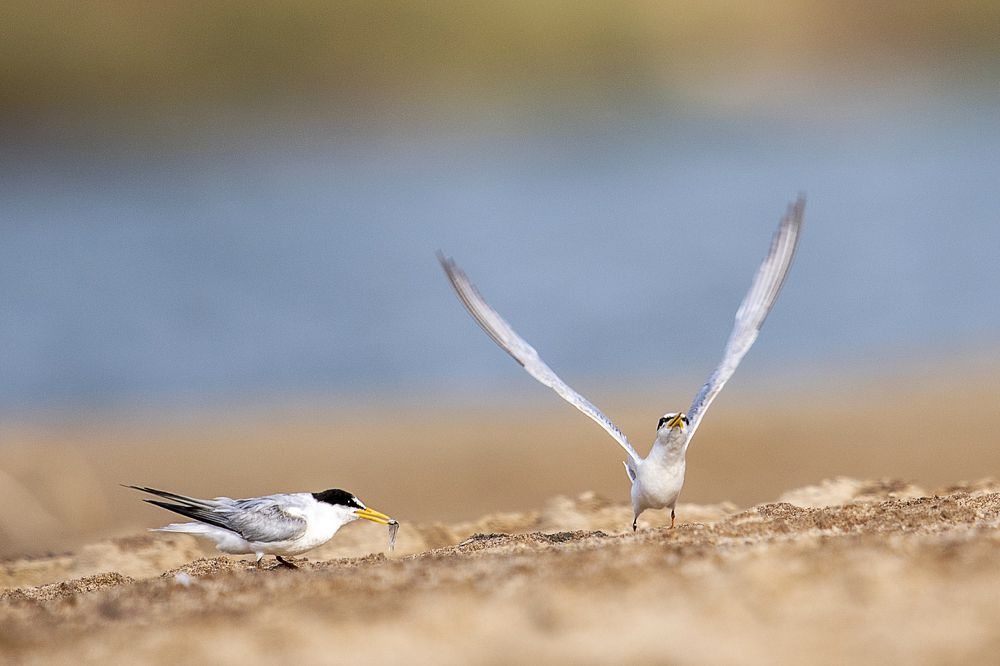 Фотография автора Sanjay Shukla