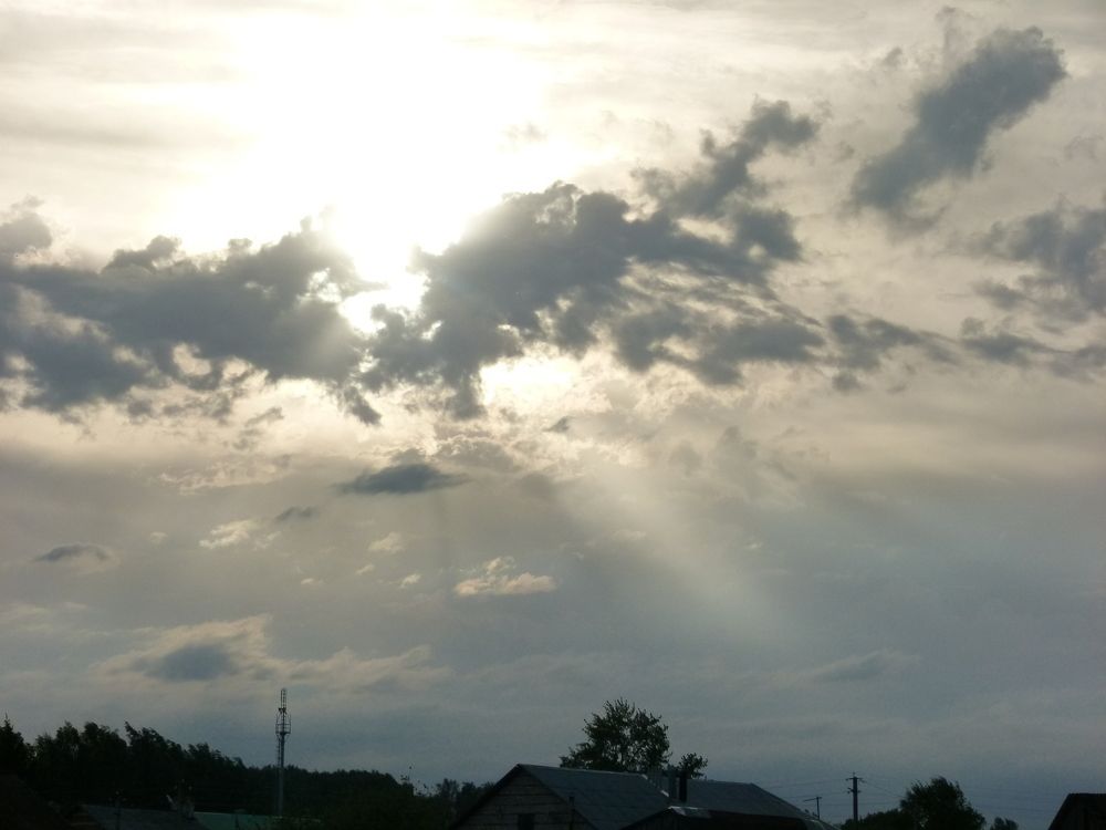 Photo #6130385