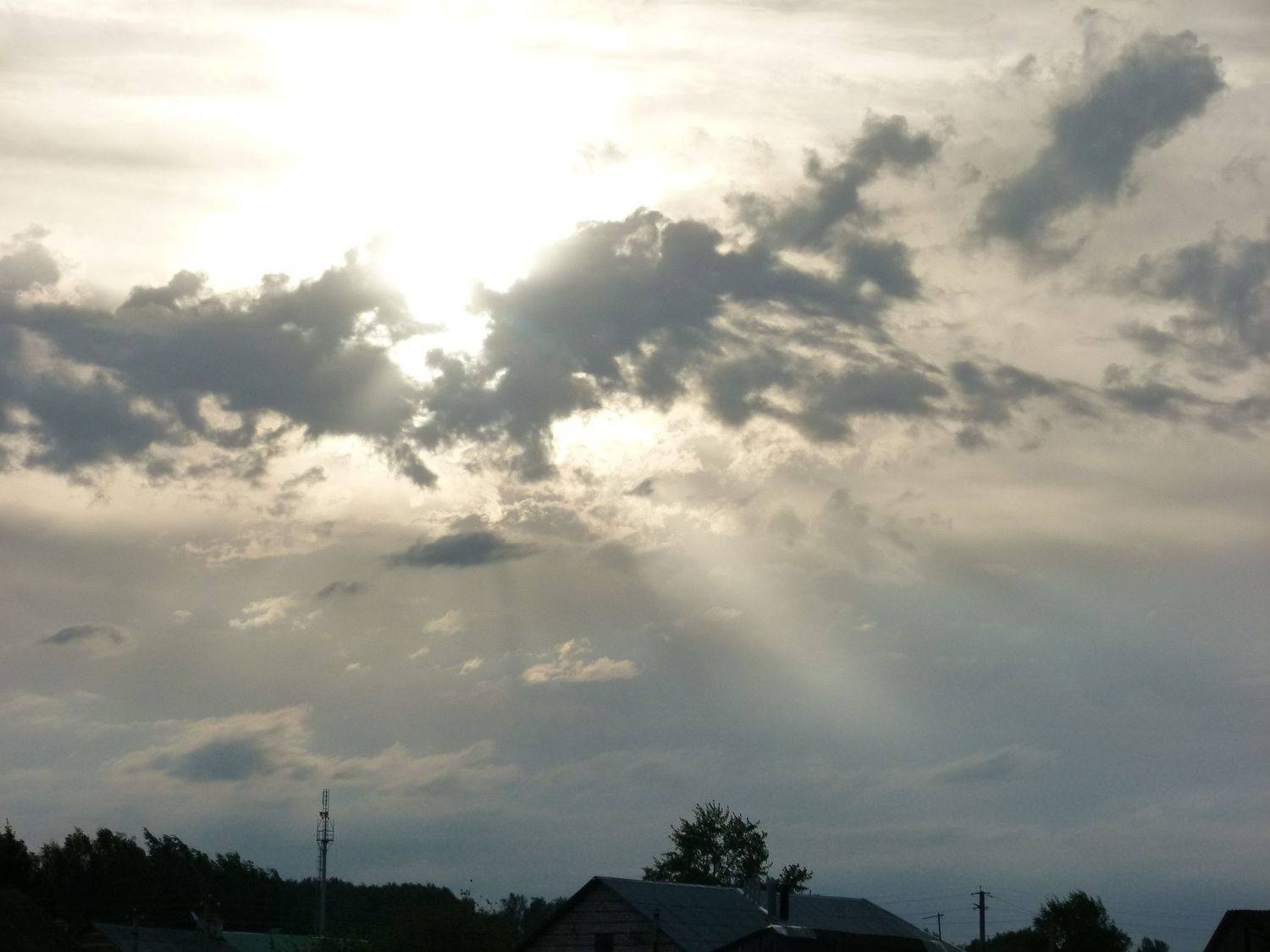 Photo #6130385