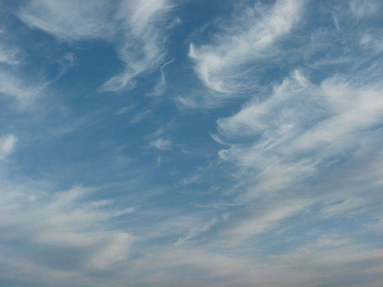 Photo #6130391