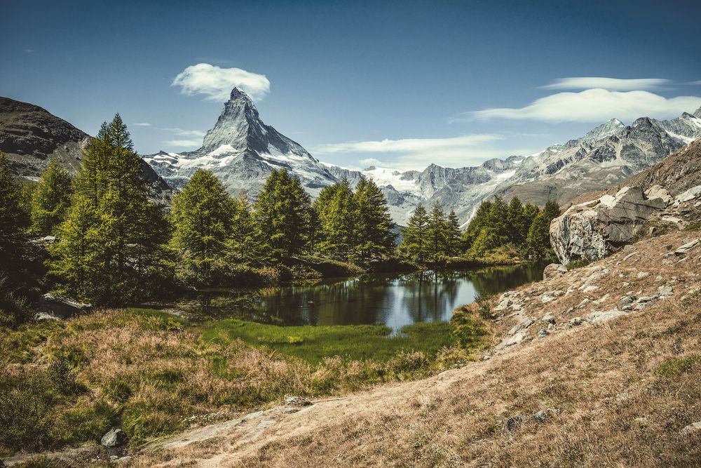 Фотография автора Csépe Róbert