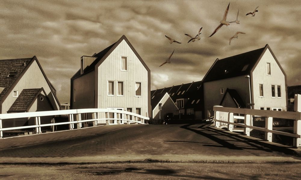 Photograph by Pati John