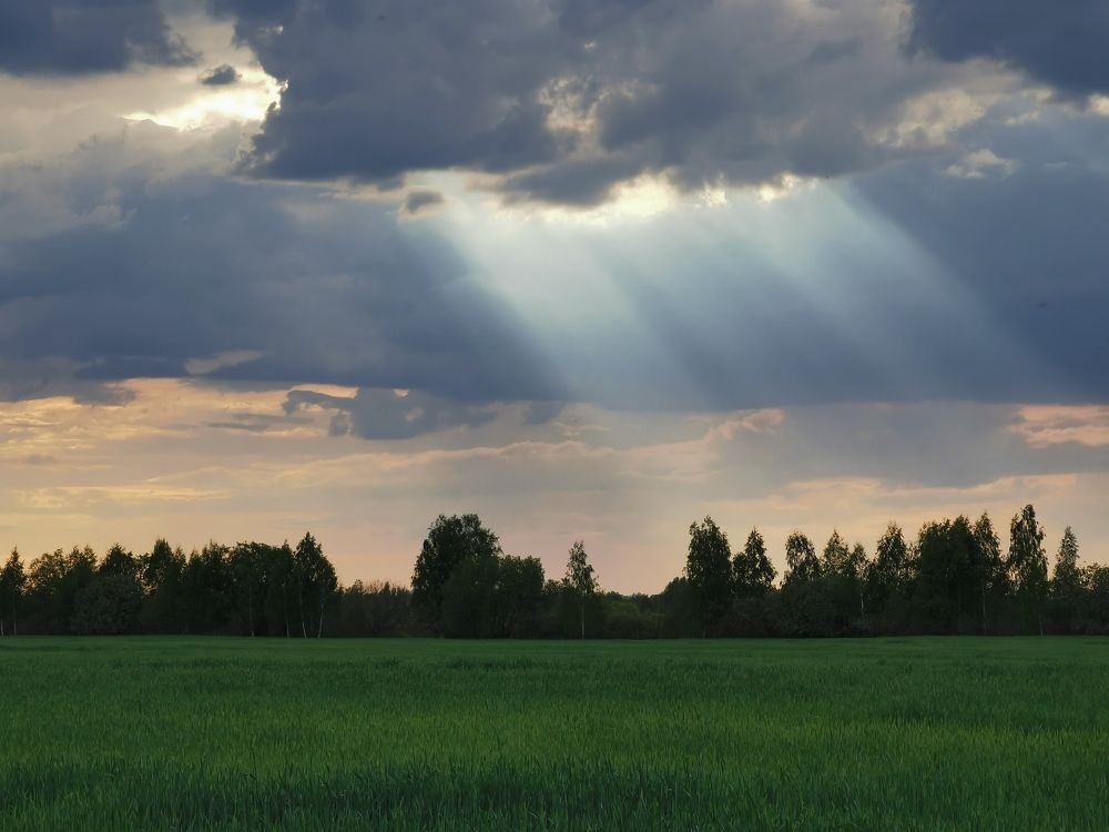 Photograph by Алексей Тарасов