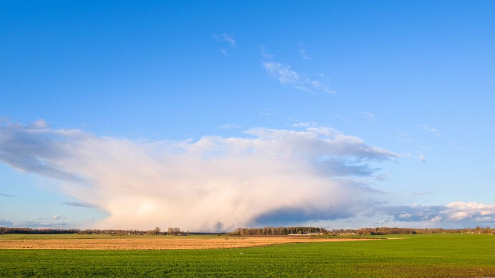 Фотография автора Александр Буренко