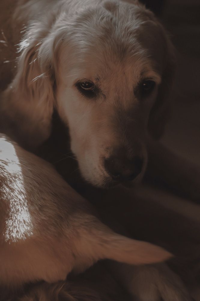 Photo #6130542