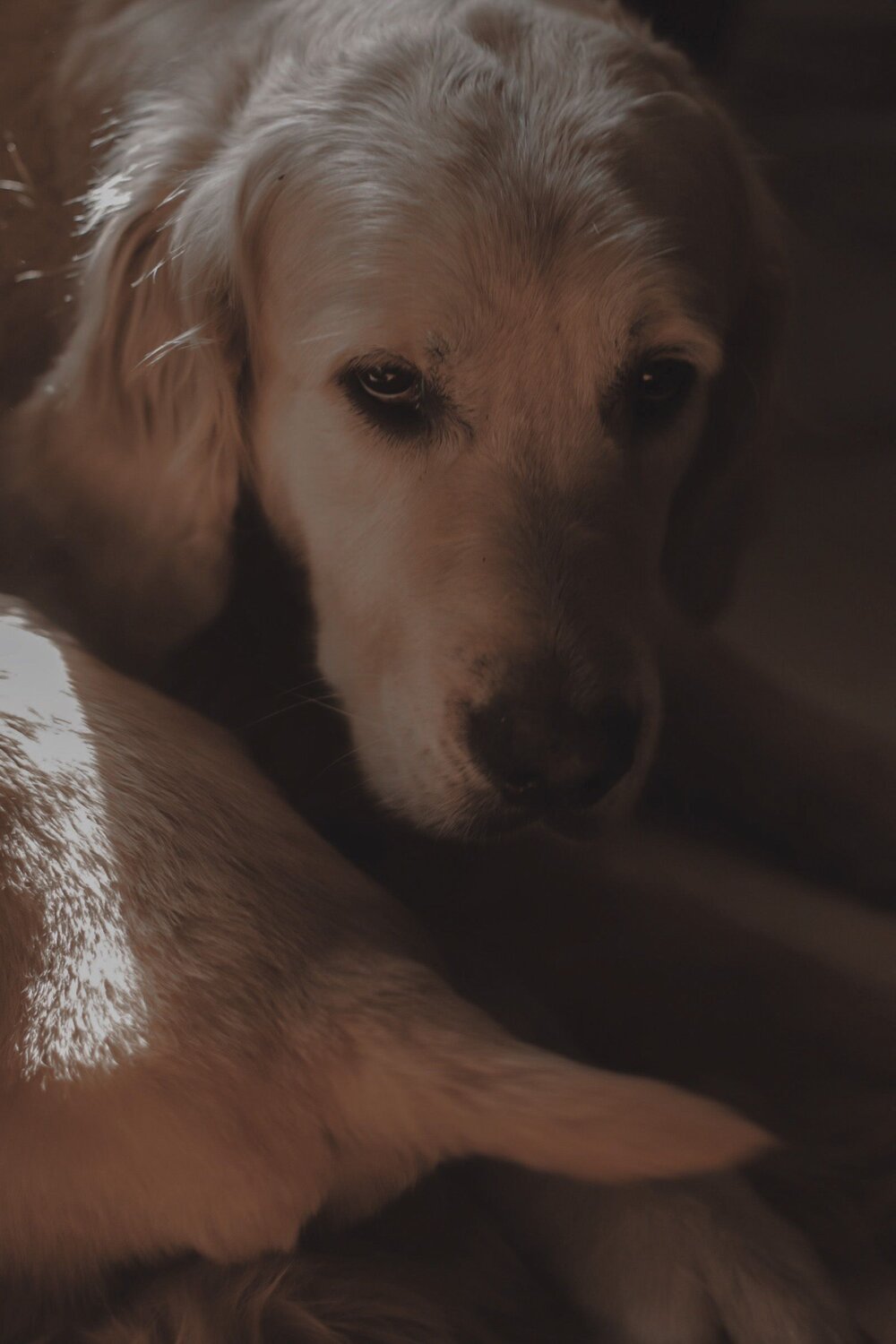 Photo #6130542
