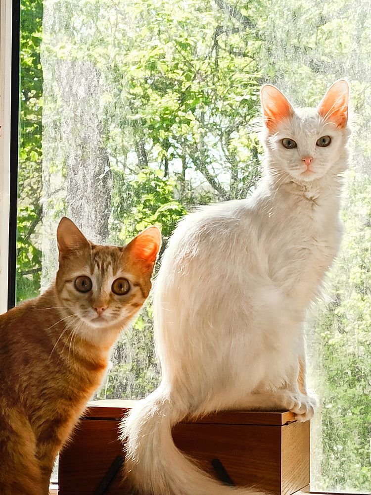 Photograph by Марина Суворова