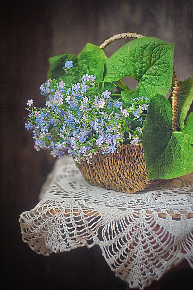 Photograph by Александра Коновалова