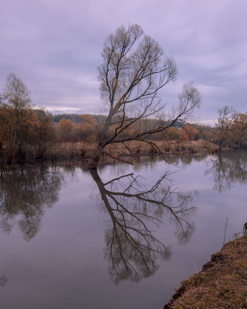 Photograph by Сергей Тригуб
