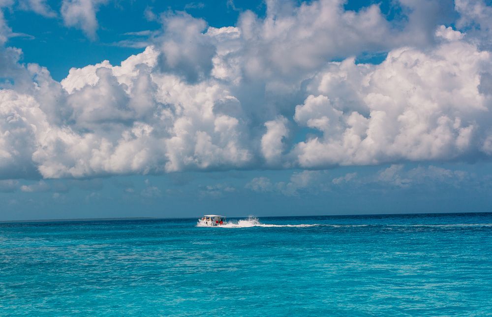 Photograph by Дмитрий Трепольский