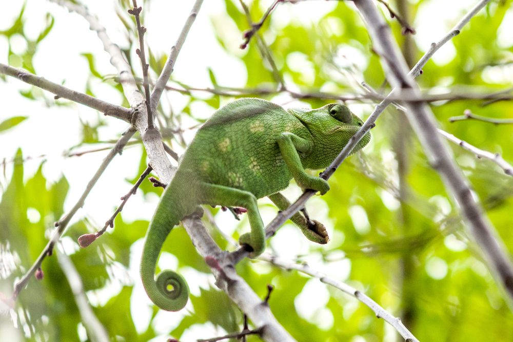 Photograph by Антон Шаркас