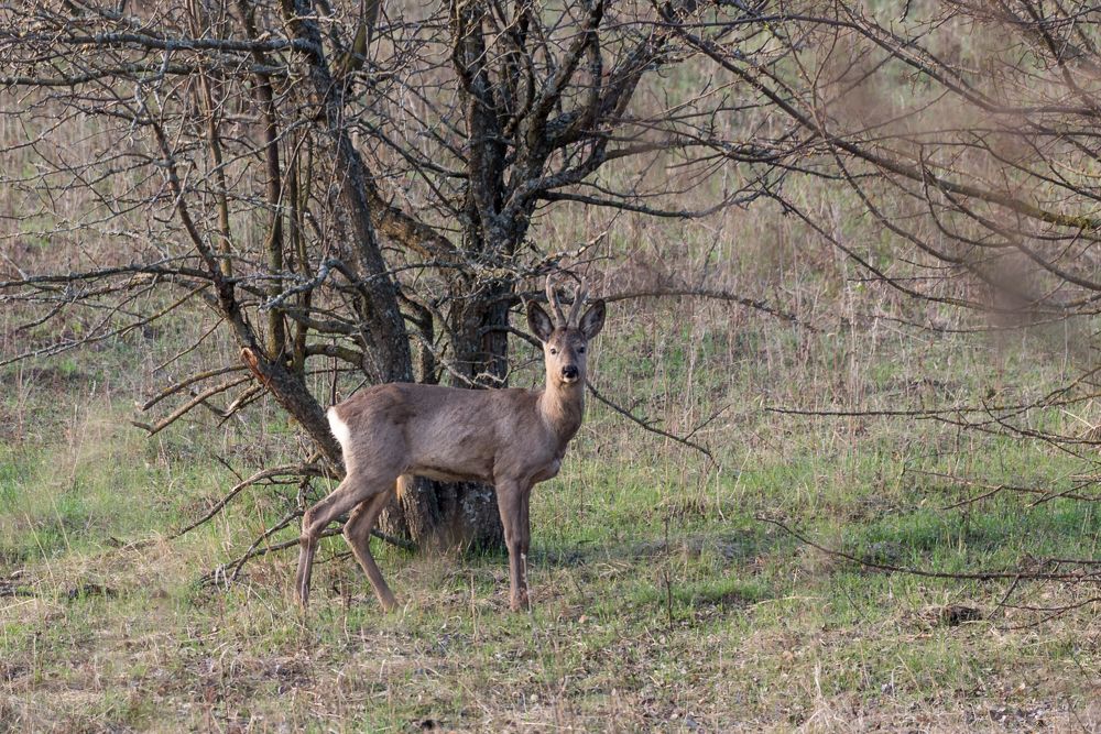 Photograph by Сергей Тригуб
