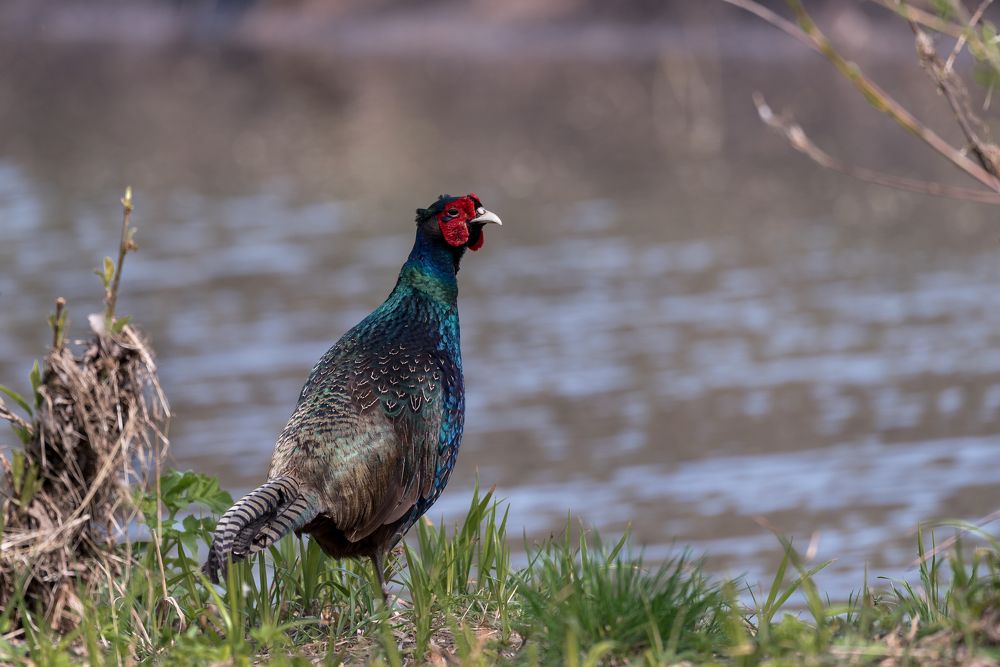Photograph by Сергей Тригуб