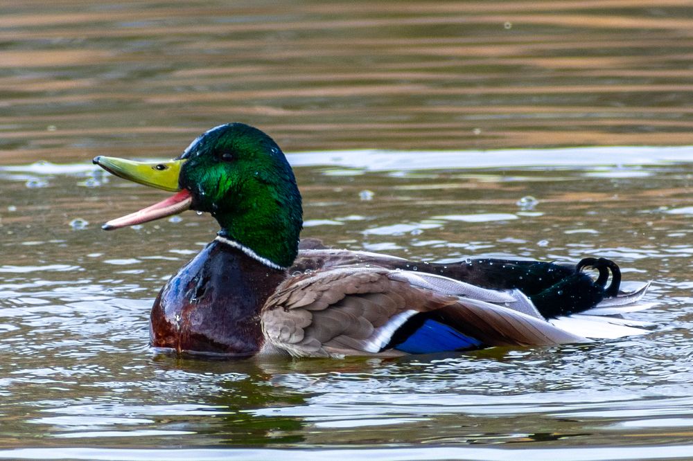 Photograph by Юлия Боровкова