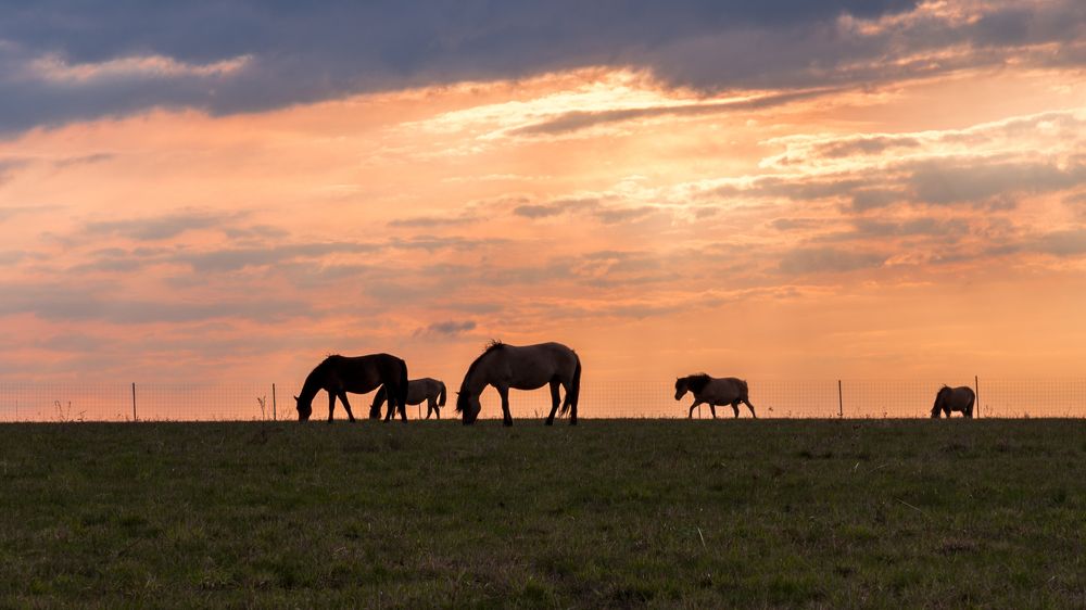 Photograph by Сергей Тригуб