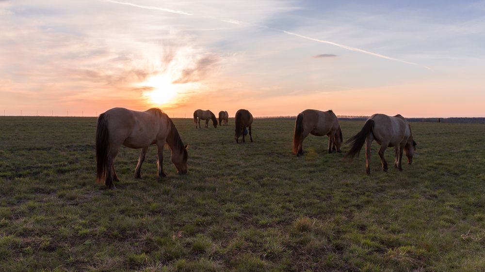 Photograph by Сергей Тригуб