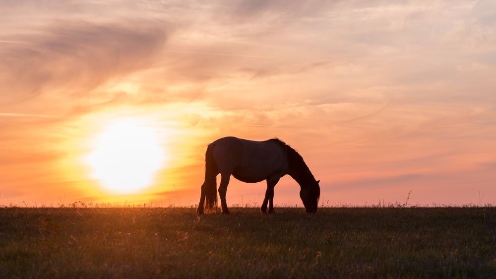 Photograph by Сергей Тригуб