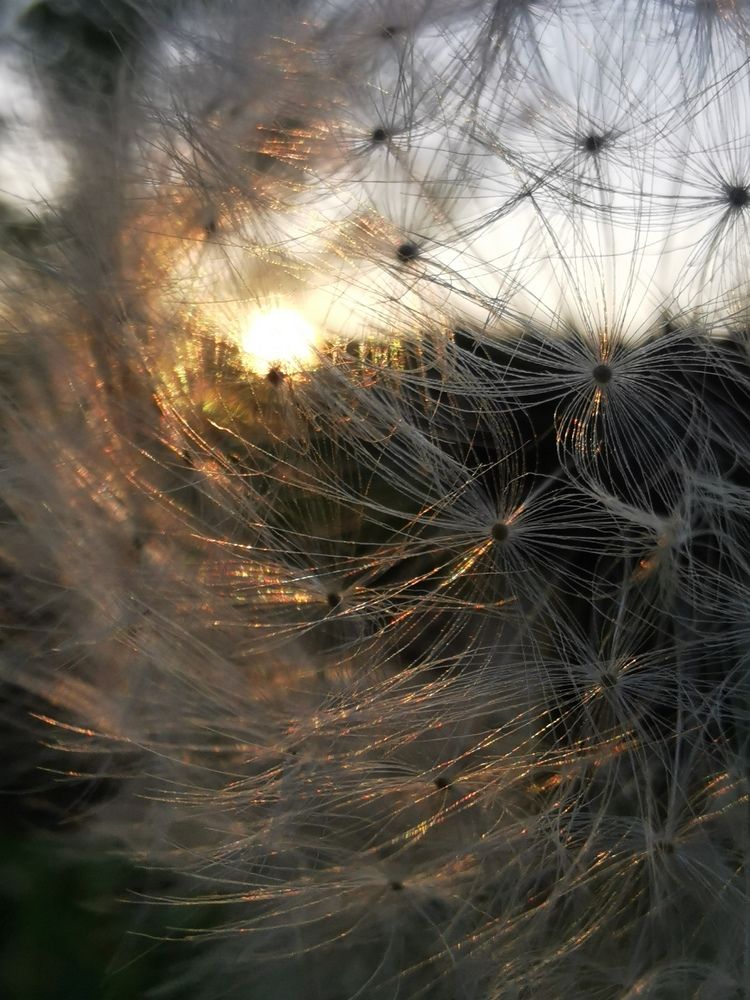 Нежные объятия.