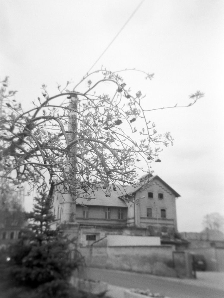 Destillery