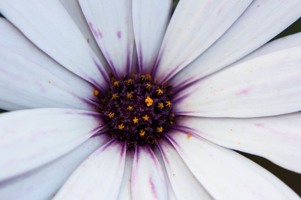 Photograph by Ali RAHILA