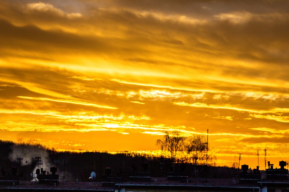 Photograph by Dariusz Pańczyk