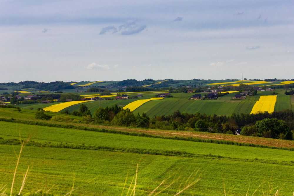Photograph by Dariusz Pańczyk