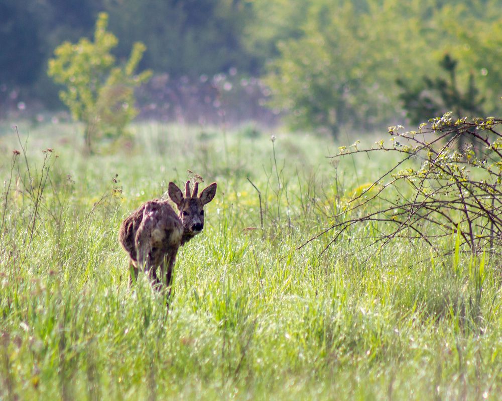 Photograph by Dariusz Pańczyk