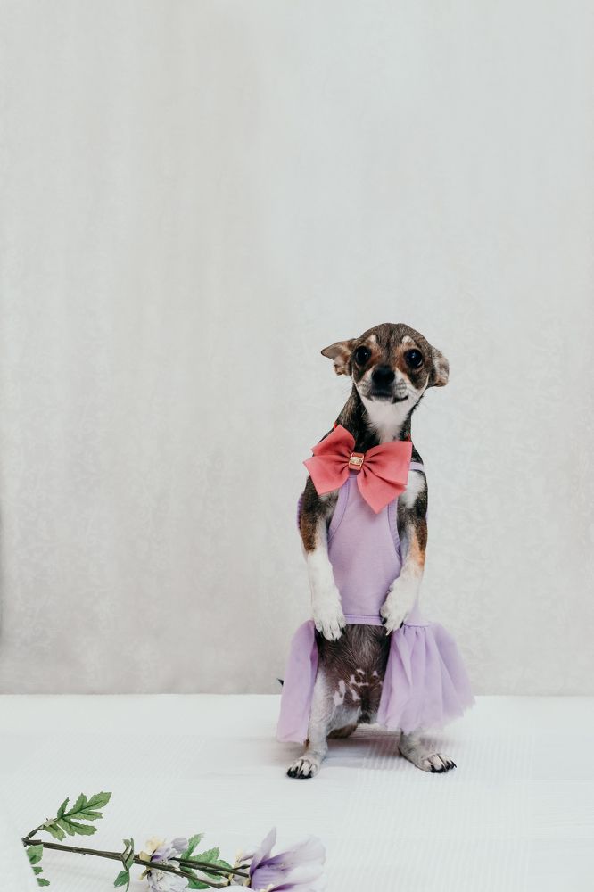 Photograph by Екатерина Матвеева