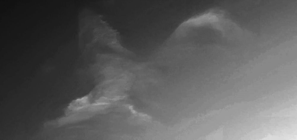 Photograph by Régis Santos