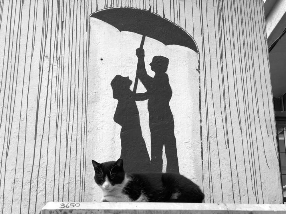 Photograph by Mehmet Omur