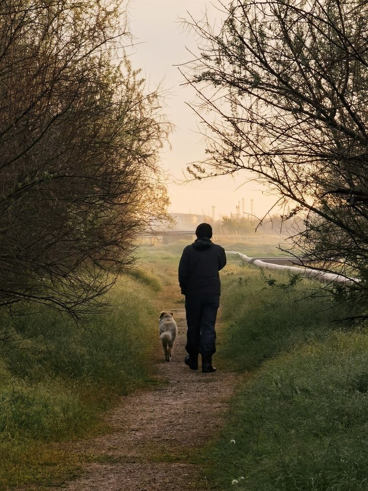 Photograph by Александр Гоцуляк