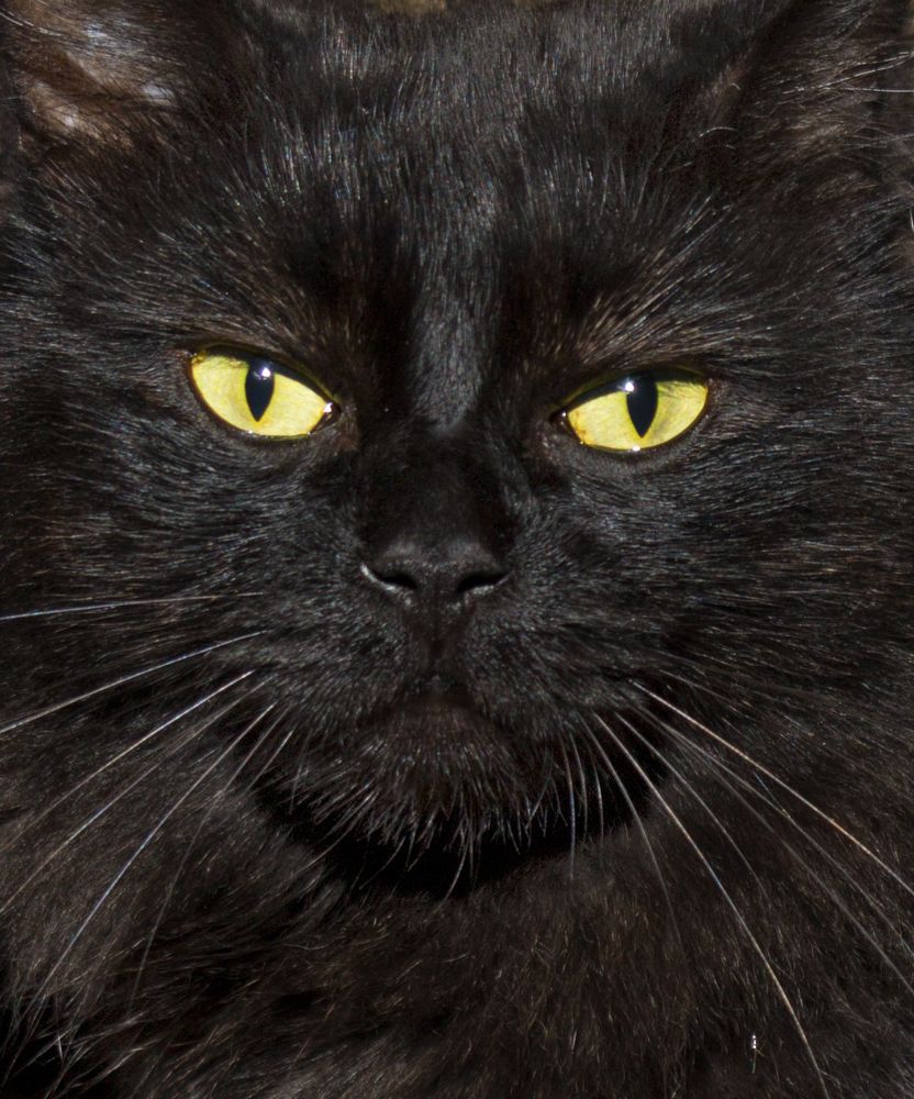 Photograph by Ricardo A. Restrepo L.