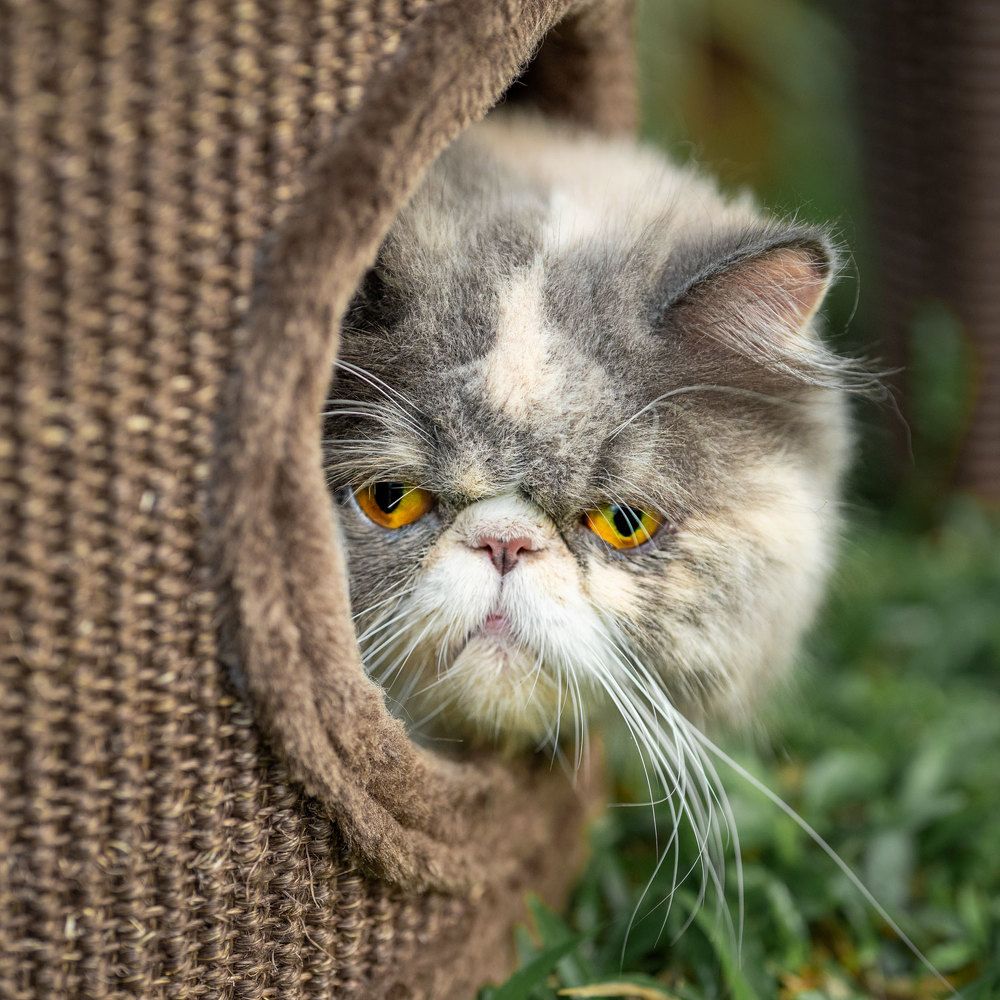 Photograph by Aysia Linggarwati