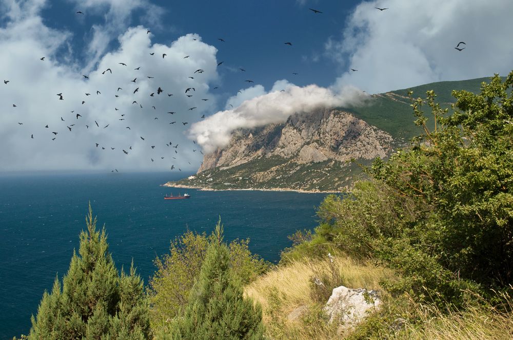 Photograph by Игорь Гомельский