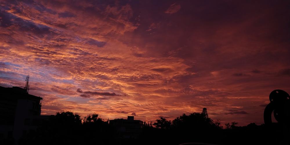 Photograph by Jaspreet Singh