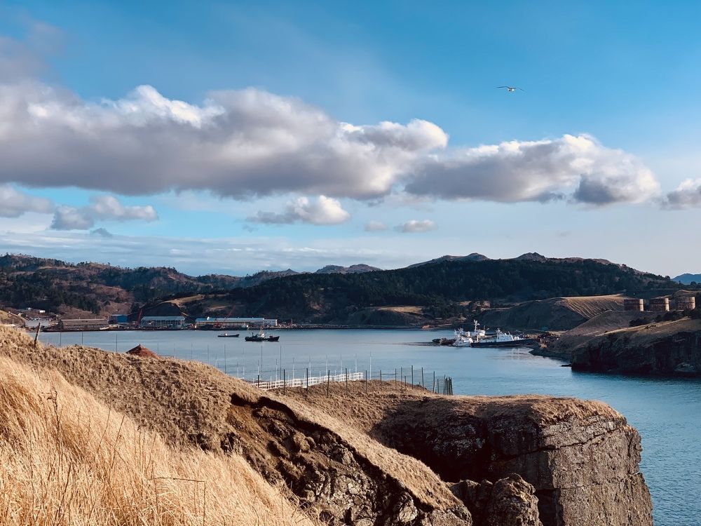 Photograph by Лазурченко Анастасия