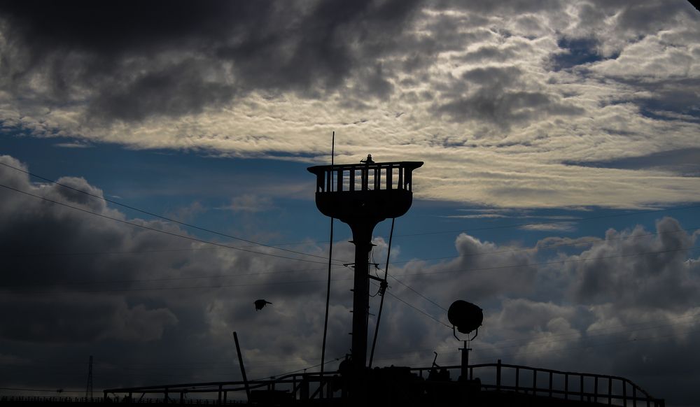 Photograph by Md. Tanvir Ahammad Emon