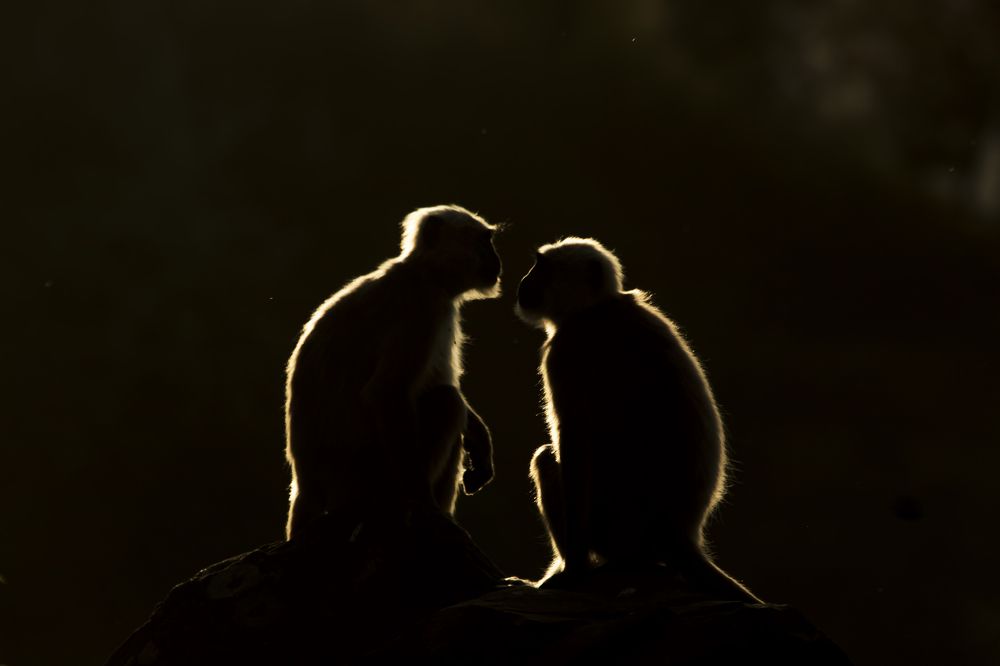 Photograph by hitesh chawla