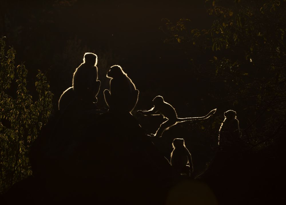 Photograph by hitesh chawla