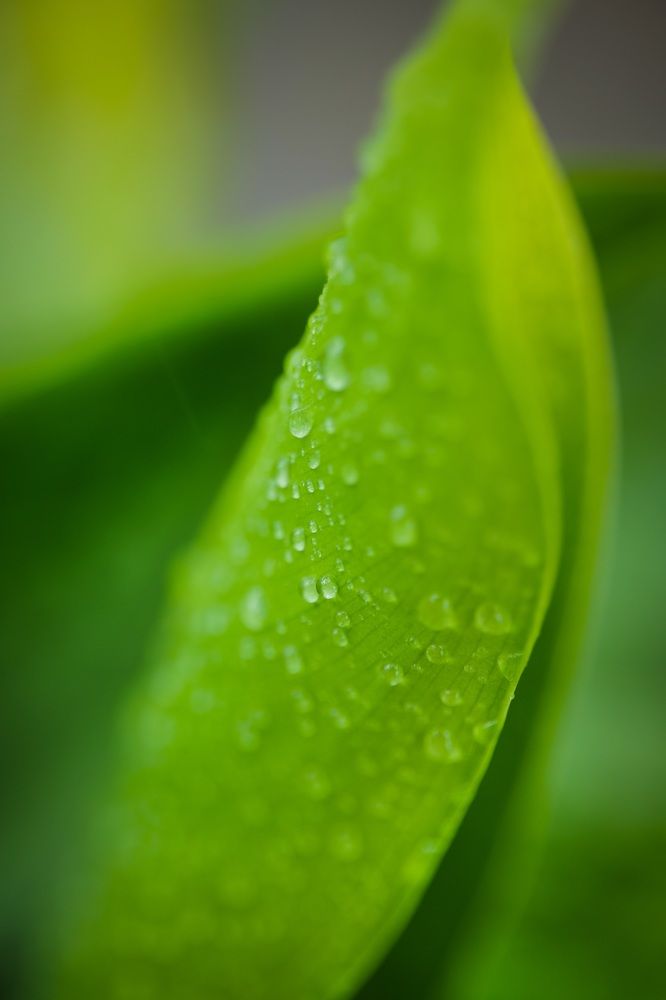 Photograph by Karthikeyan Ponnuswamy