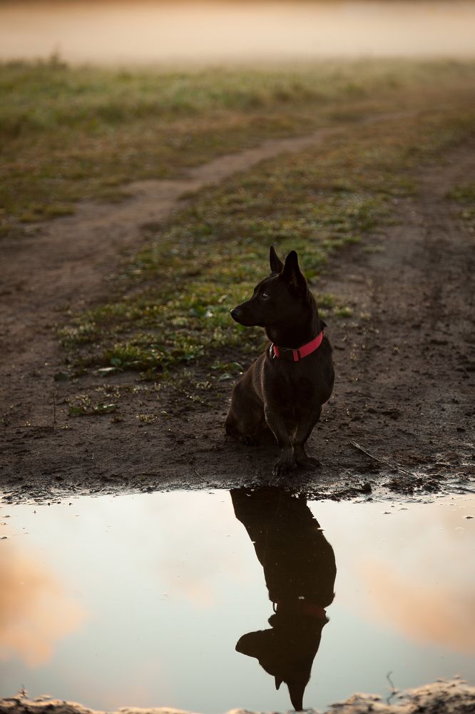 Photograph by Пирожков Александр