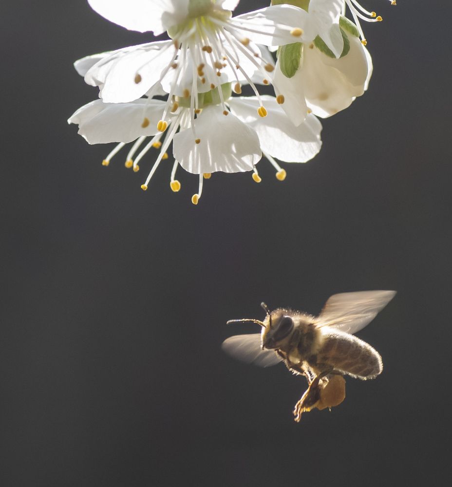 Photograph by Irenejas Urbonavicius