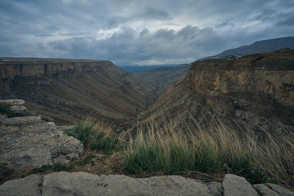 Photograph by Алексей Курочкин