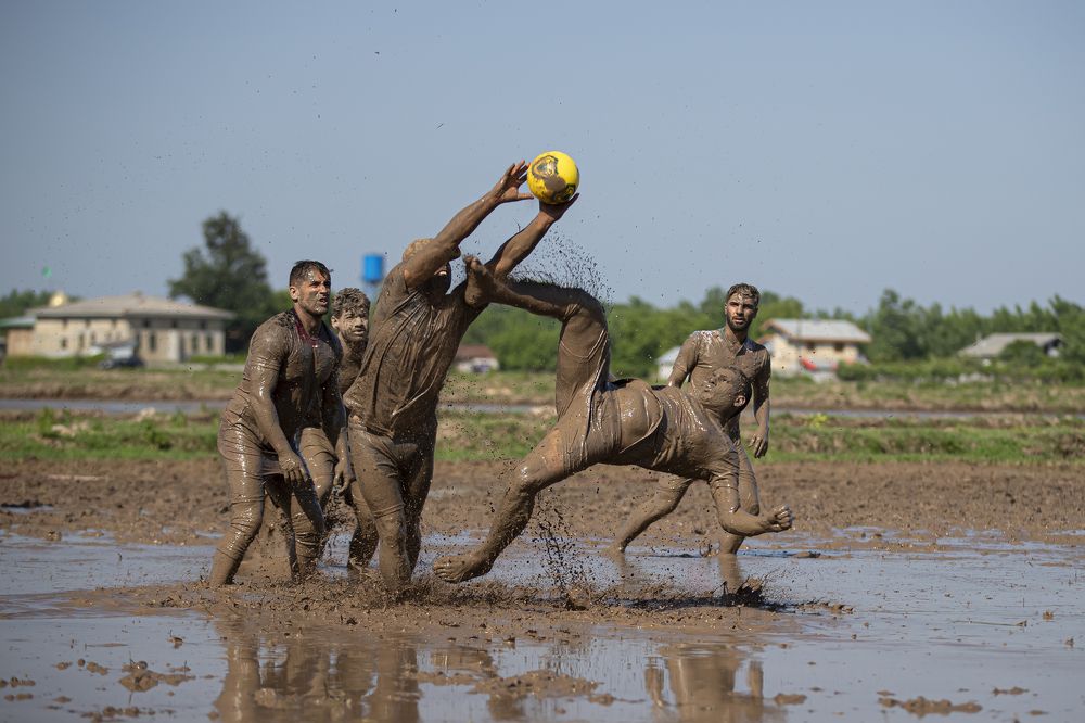 Photograph by Ali Shafie Koli