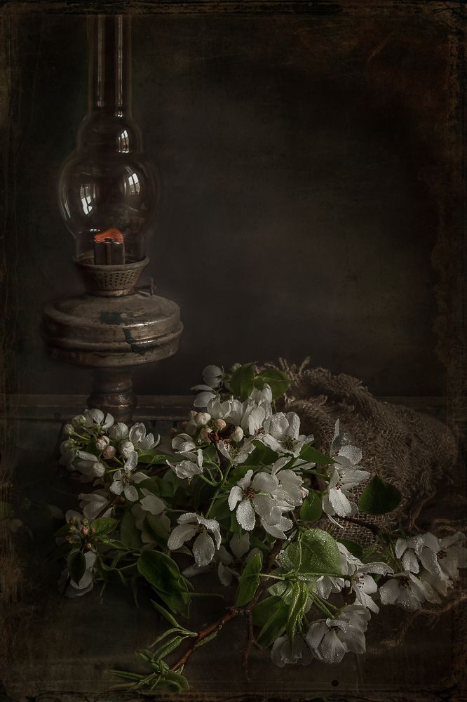 Photograph by Наталья Соболь