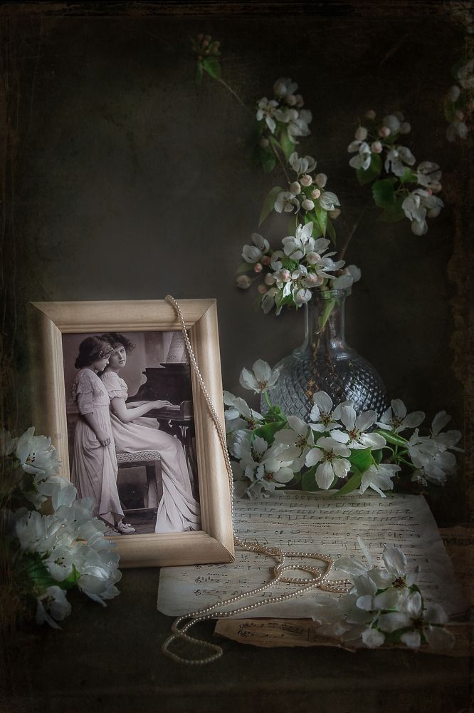 Фотография автора Наталья Соболь