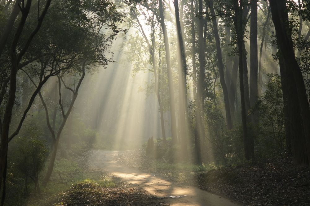 'Road To It's Glory'