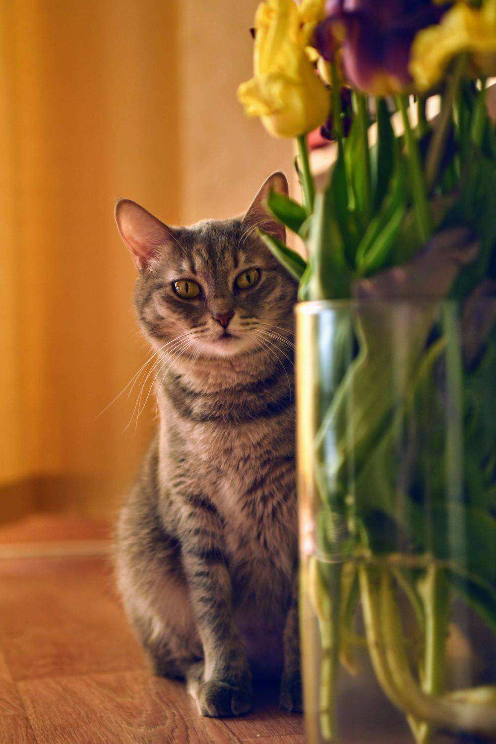 Photo #6131465