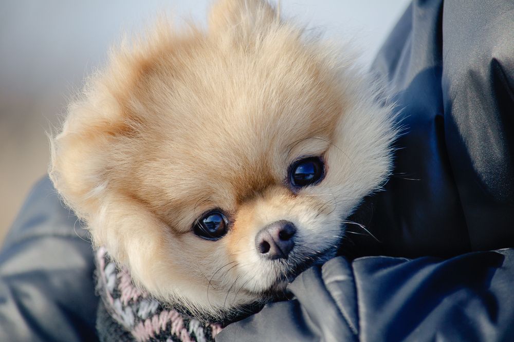 Photograph by Бугакова Ольга